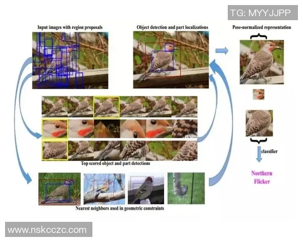 基于深度学习的足球球星签名自动识别与分析方法研究 基于深度学习的足球球星签名自动识别与分析方法研究