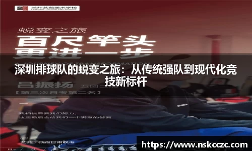 DB视讯真人