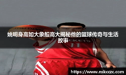 姚明身高如大象般高大揭秘他的篮球传奇与生活故事