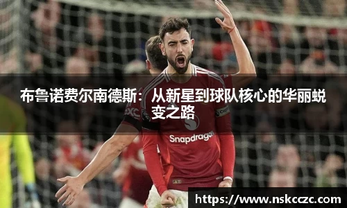 DB视讯官网